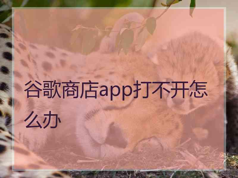 谷歌商店app打不开怎么办