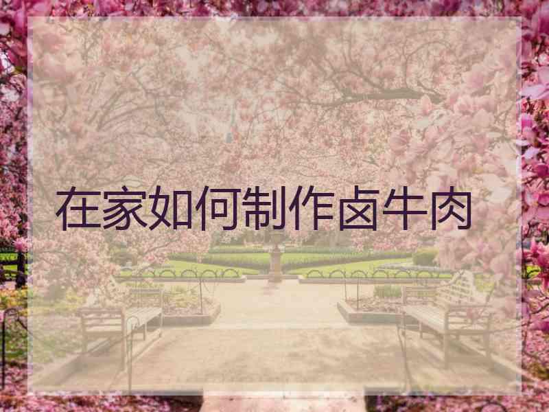 在家如何制作卤牛肉
