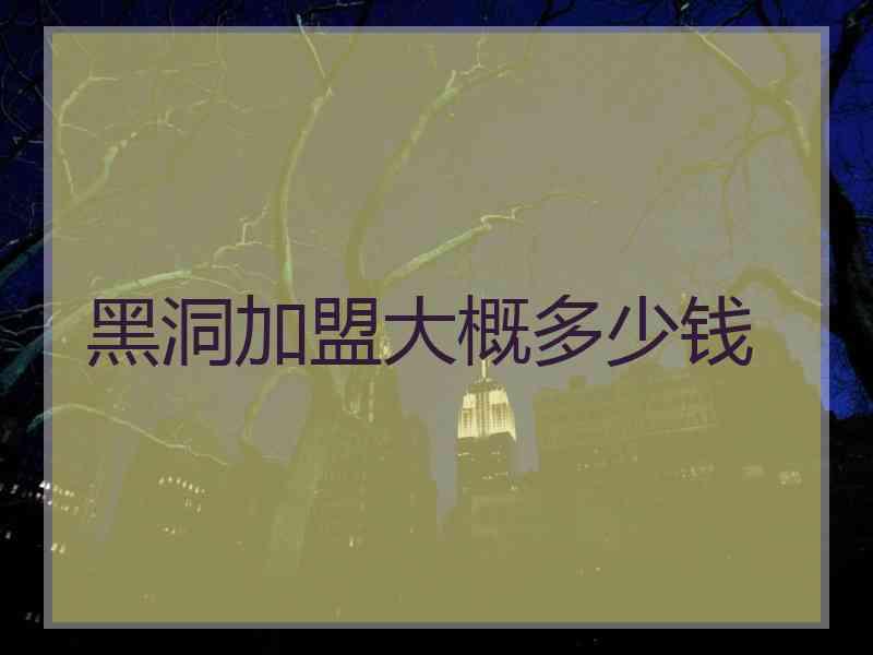黑洞加盟大概多少钱