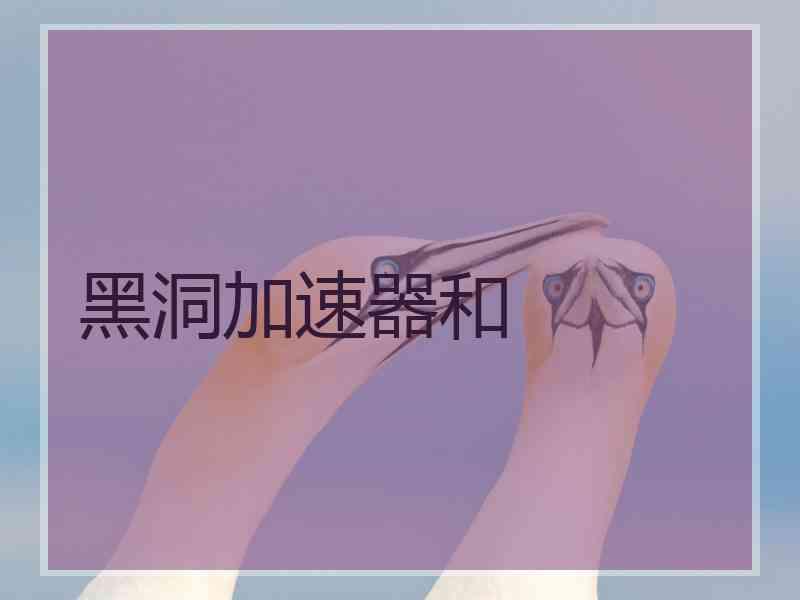 黑洞加速器和