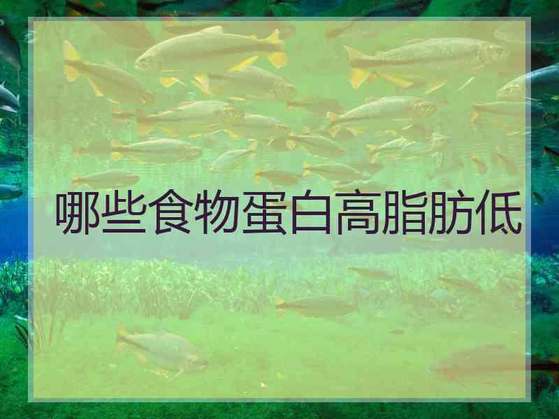 哪些食物蛋白高脂肪低