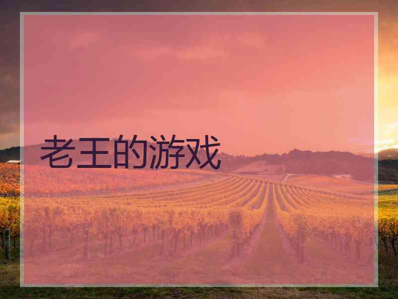 老王的游戏