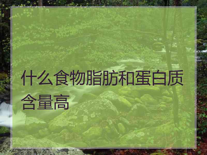 什么食物脂肪和蛋白质含量高