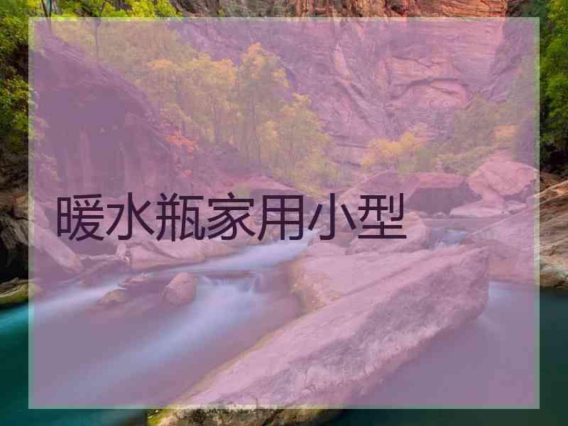暖水瓶家用小型