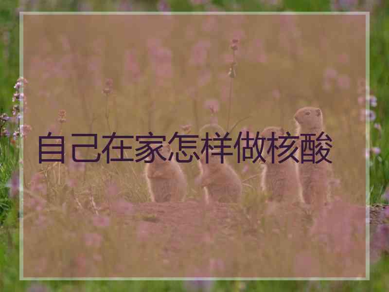 自己在家怎样做核酸