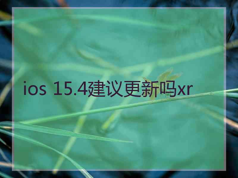 ios 15.4建议更新吗xr