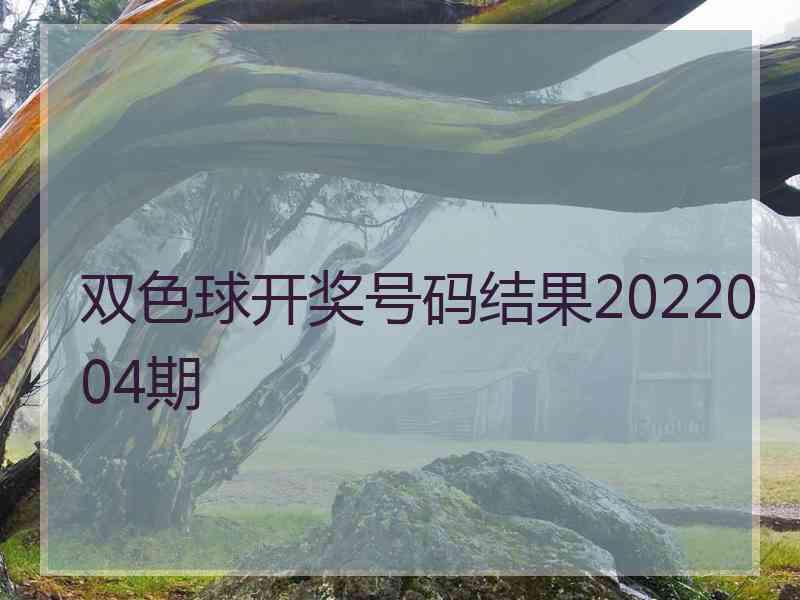 双色球开奖号码结果2022004期