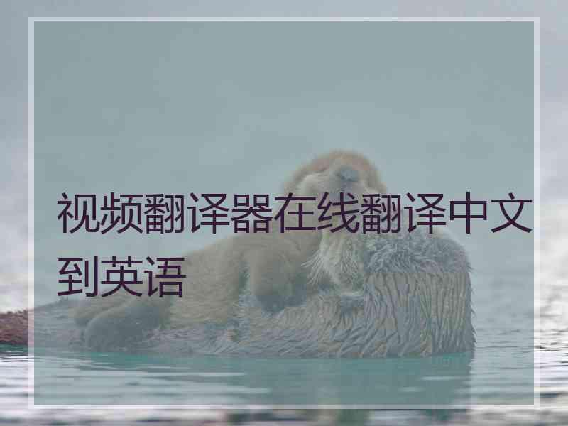 视频翻译器在线翻译中文到英语