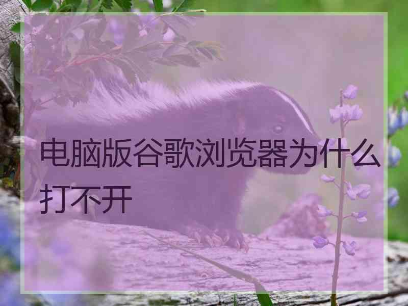 电脑版谷歌浏览器为什么打不开