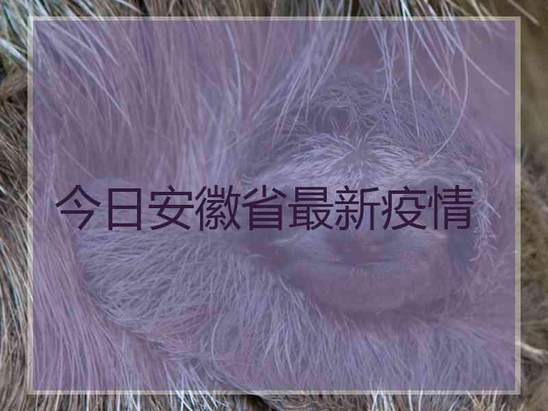 今日安徽省最新疫情