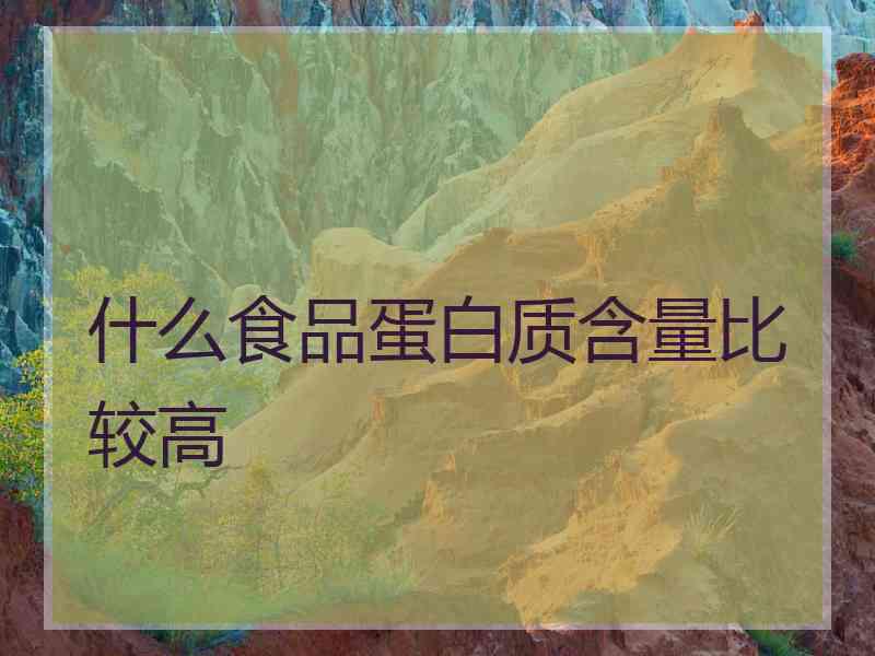 什么食品蛋白质含量比较高