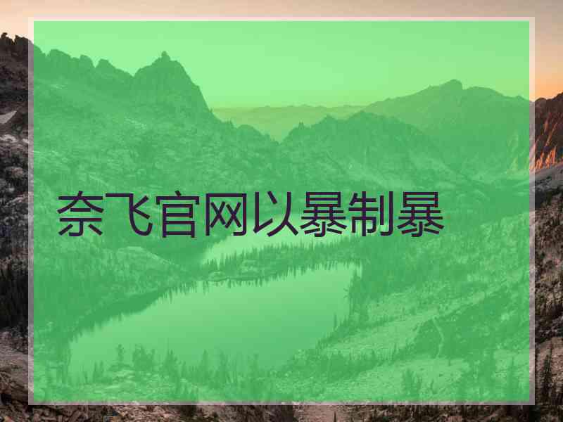 奈飞官网以暴制暴