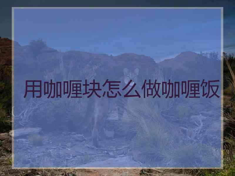用咖喱块怎么做咖喱饭