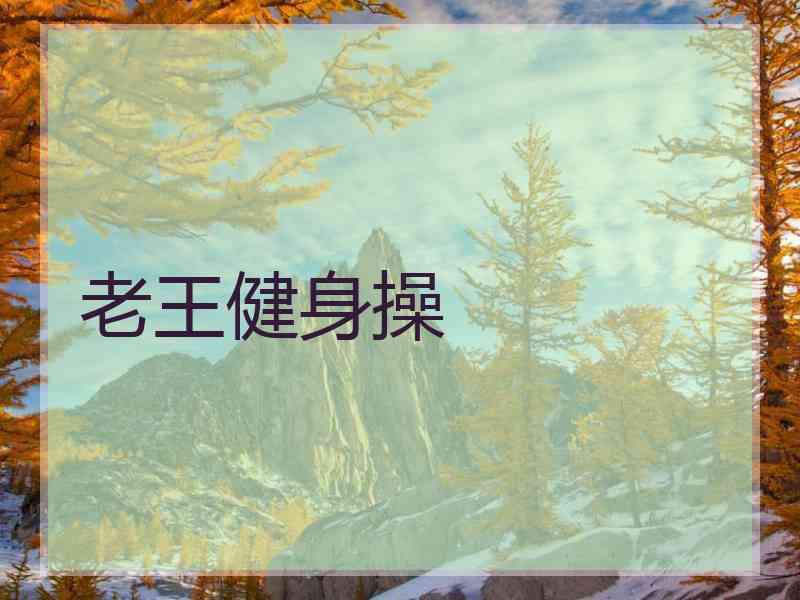 老王健身操