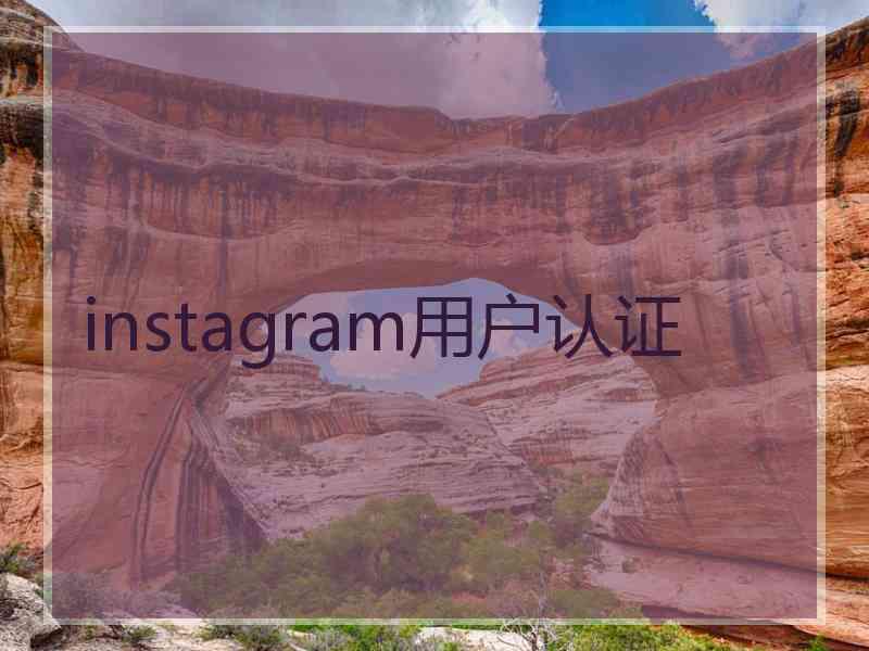 instagram用户认证