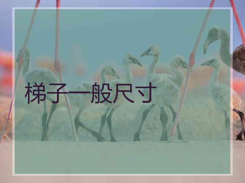 梯子一般尺寸