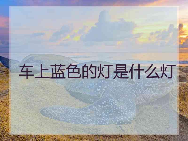 车上蓝色的灯是什么灯