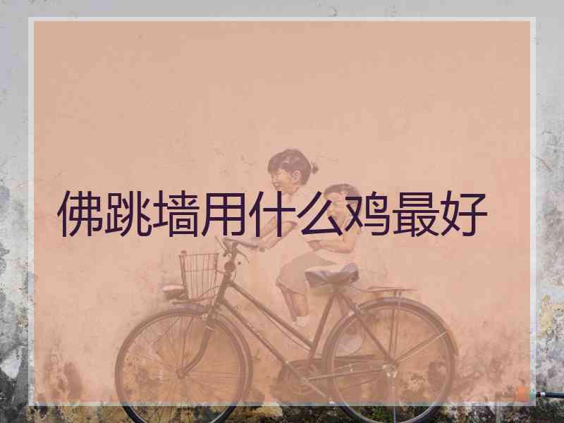 佛跳墙用什么鸡最好
