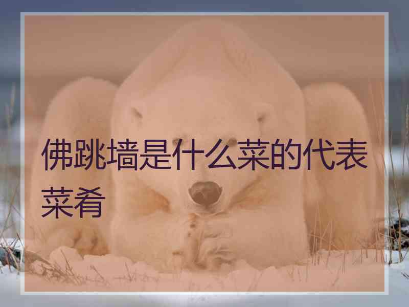 佛跳墙是什么菜的代表菜肴