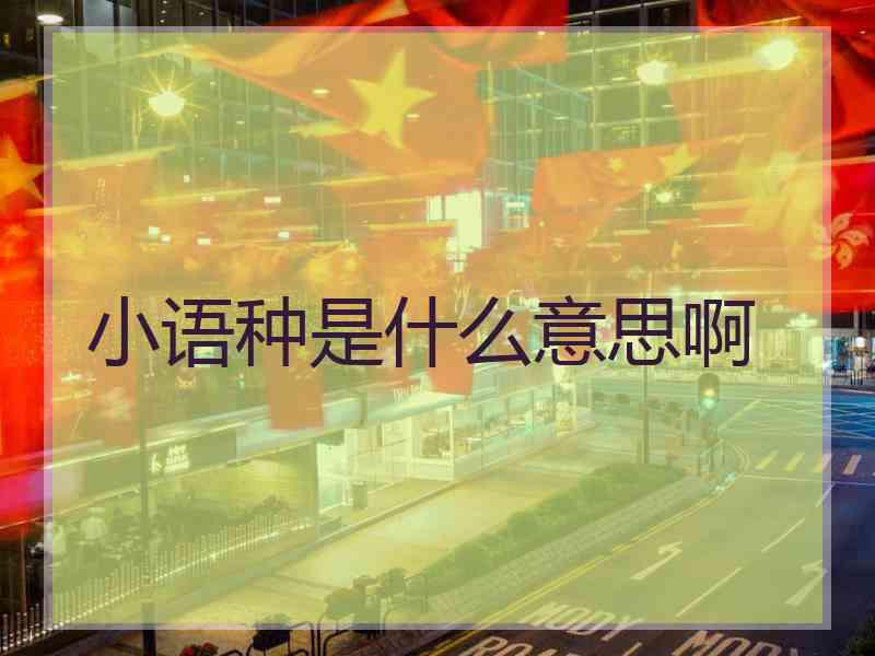 小语种是什么意思啊