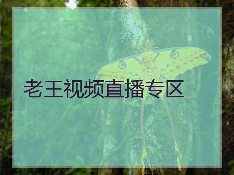 老王视频直播专区