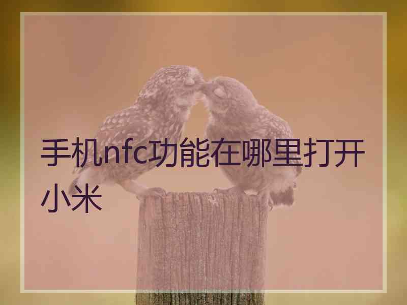 手机nfc功能在哪里打开小米