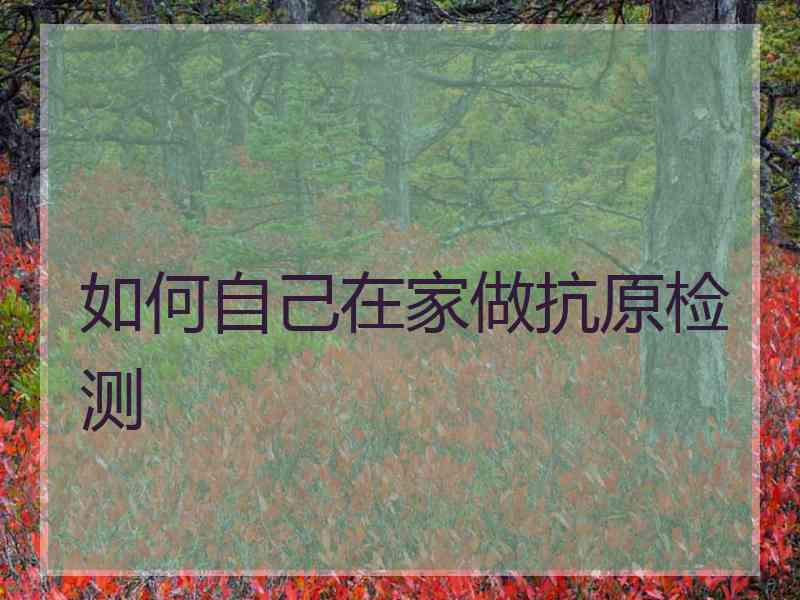 如何自己在家做抗原检测