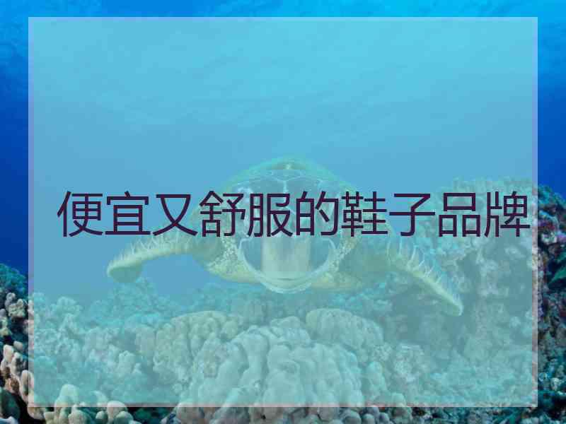 便宜又舒服的鞋子品牌