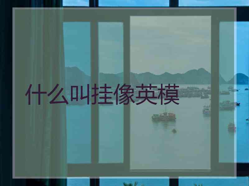 什么叫挂像英模