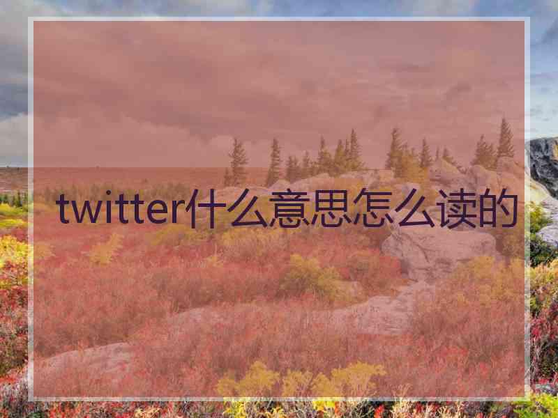 twitter什么意思怎么读的