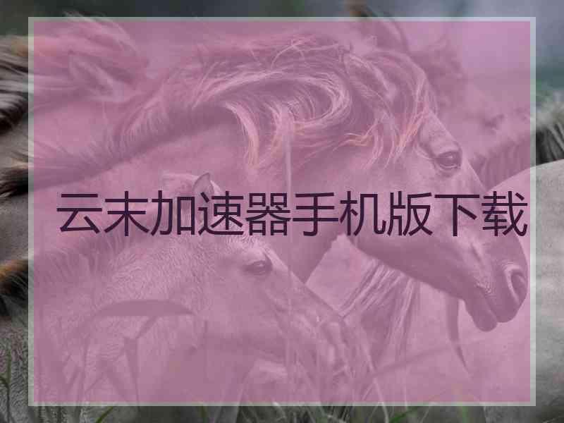 云末加速器手机版下载