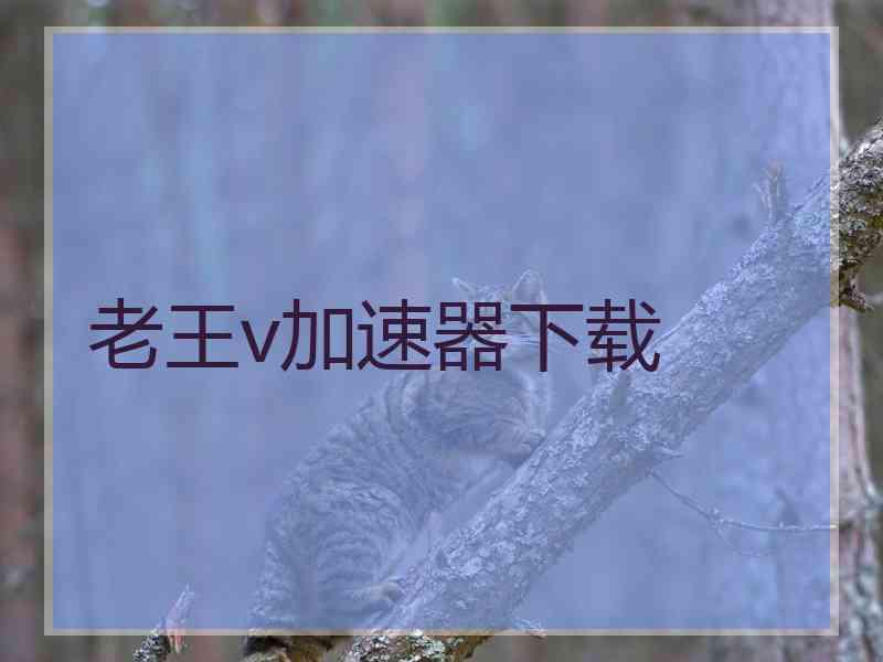 老王v加速器下载