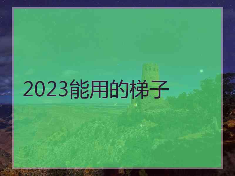 2023能用的梯子