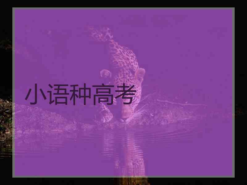 小语种高考