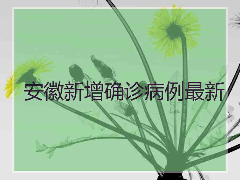 安徽新增确诊病例最新